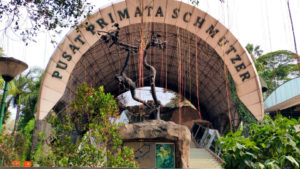 pusata primata taman margasatwa ragunan jakarta